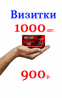 Заказать визитки в типографии Матрица - 1000 шт. за 900 руб.